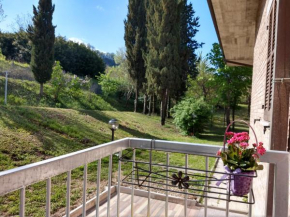 B&B IL TORCHIO-URBINO Urbino